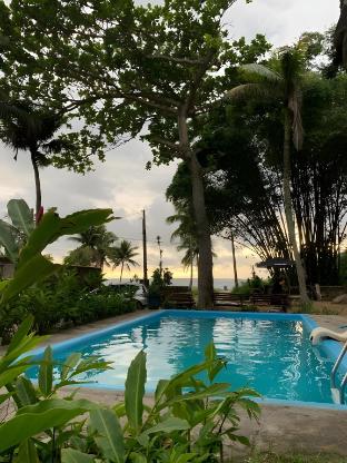raizes do mar