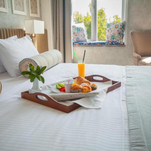 hotel precesion palace near delhi airport