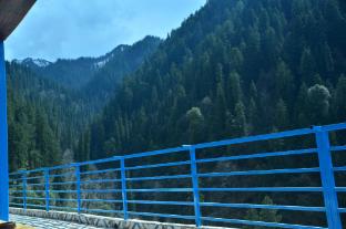 limbo cafe and rooms