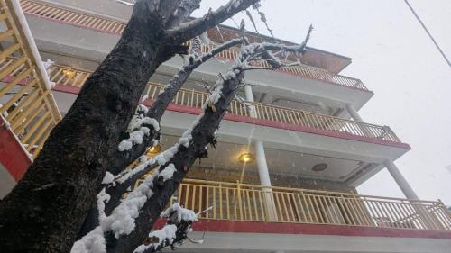 hostelam the mountain story