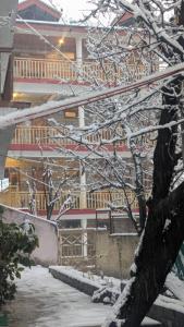 hostelam the mountain story