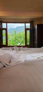 hostelam the mountain story