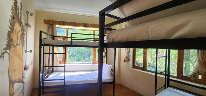 hostelam the mountain story