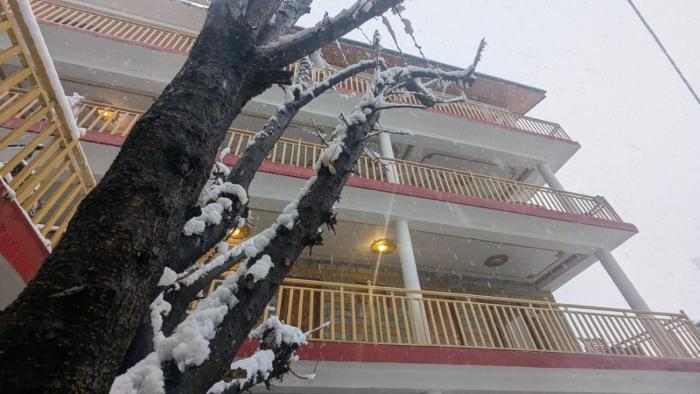 hostelam the mountain story