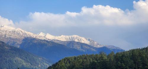 hostelam the mountain story