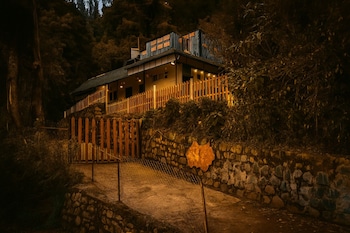 amber by the tamarillo