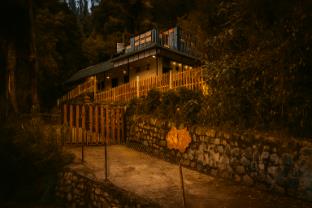 amber by the tamarillo