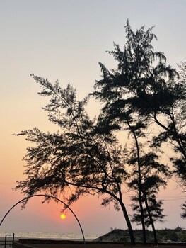 blue waves beach stay