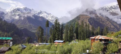 majestic house and bonkers on the go cafe
