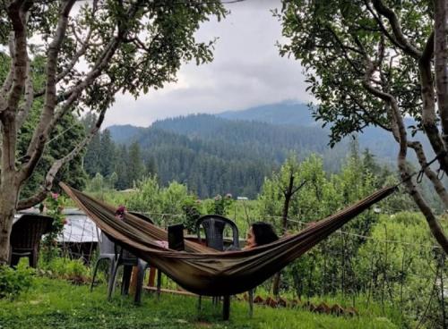 majestic house and bonkers on the go cafe