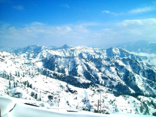 shimla