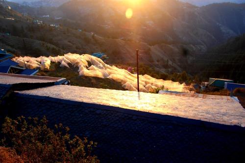 shimla