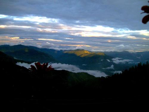 shimla