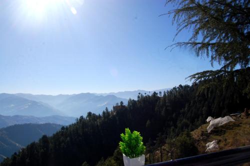 shimla