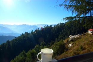 shimla