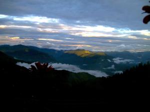 shimla