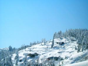 shimla