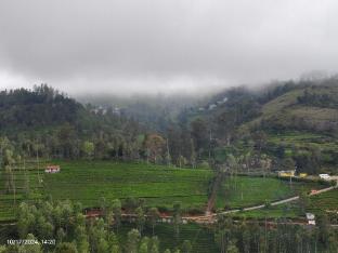 ooty