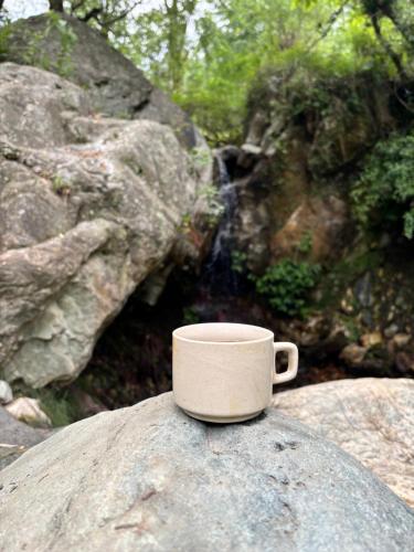 The Cozy Cabin Jibhi,,3 star