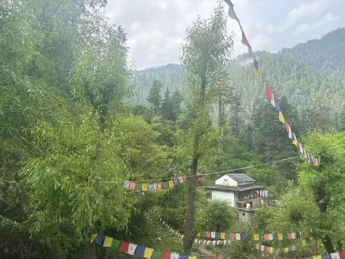 The Cozy Cabin Jibhi,,3 star