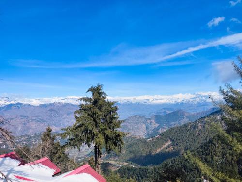 hotel m s resort dalhousie