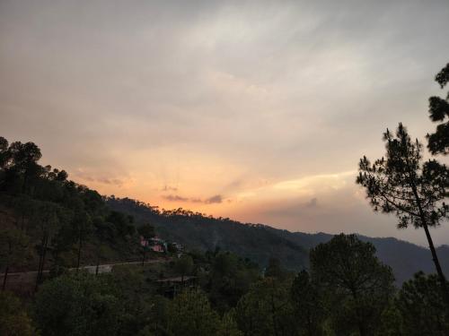 splendid retreat homestay kasauli