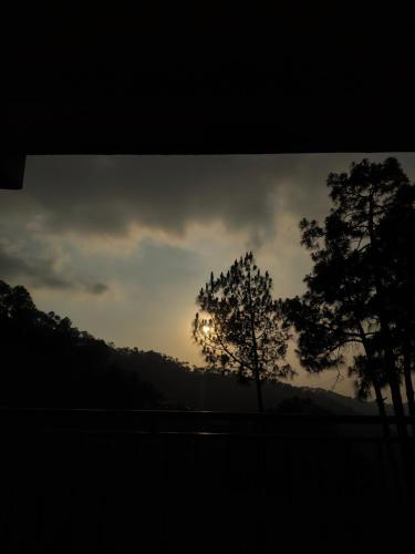 splendid retreat homestay kasauli