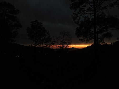 splendid retreat homestay kasauli