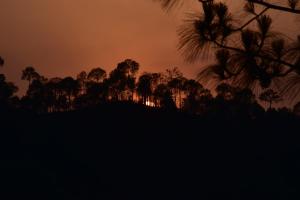 splendid retreat homestay kasauli