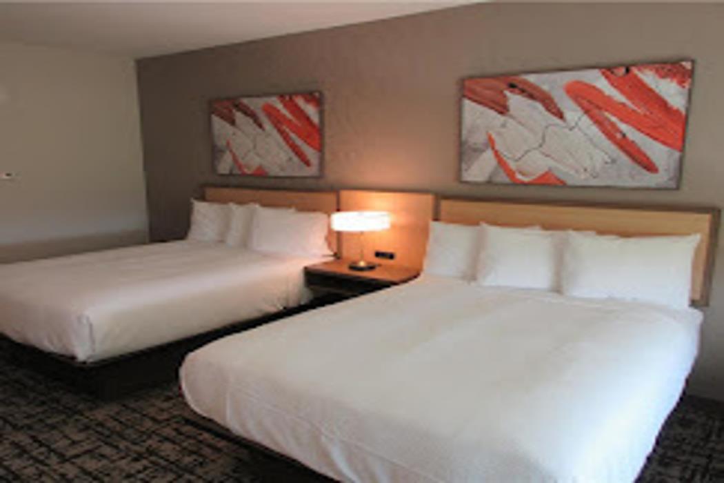 best western plus pearland houston medical center hotel