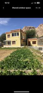 trinity home stay