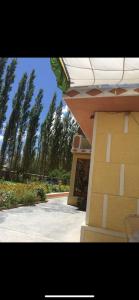 trinity home stay