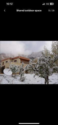 trinity home stay