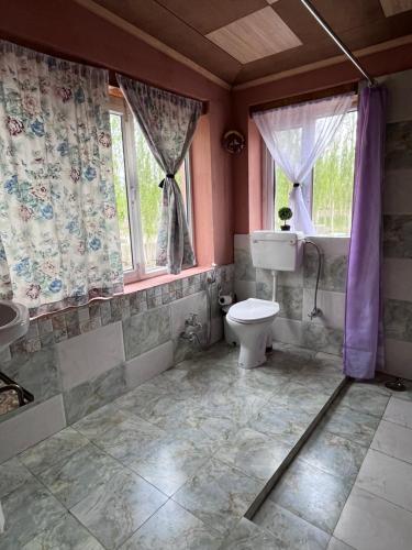 trinity home stay