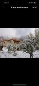 trinity home stay