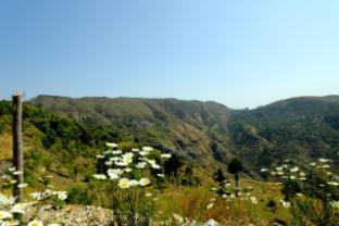 chakrata pacific resort and spa