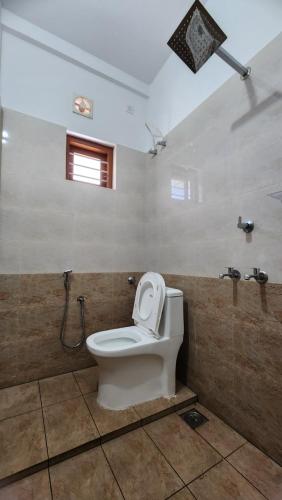 elephant coco homestay