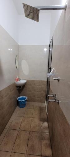 elephant coco homestay