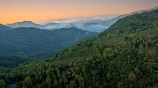 ama stays and trails the malarbar villa iris kozhikode