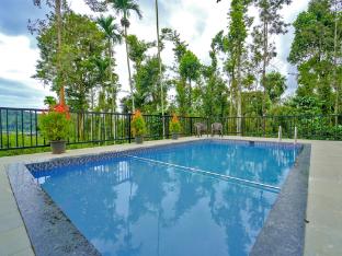 oasis vythiri pool aparments