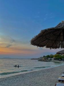 vlore