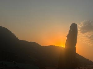 shimla