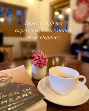 happy himalayan homes