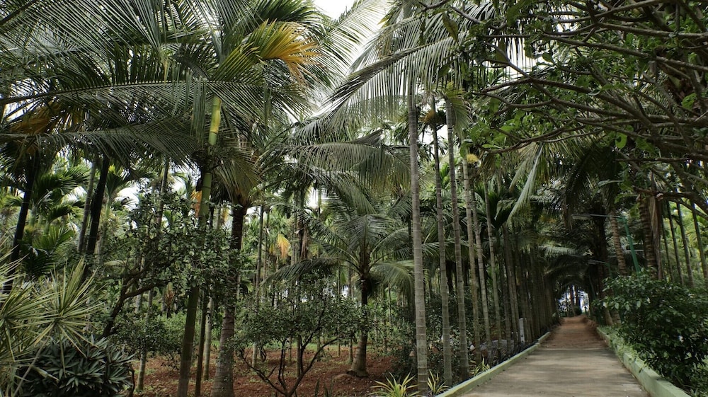 thelemoura