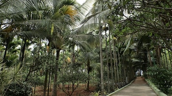 thelemoura