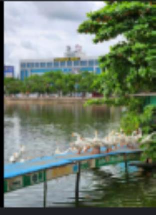 aarchi international