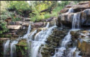 aarchi international