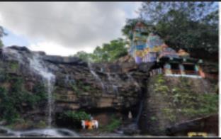 aarchi international