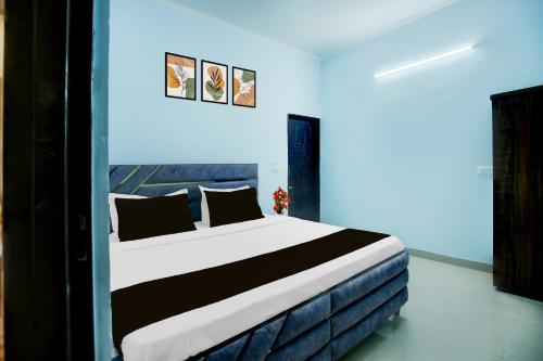 collection o nayagaon near vikas nagar