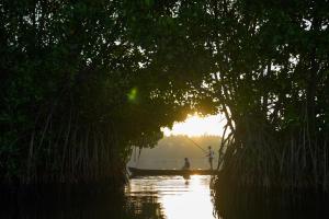 kalloos island backwater resort